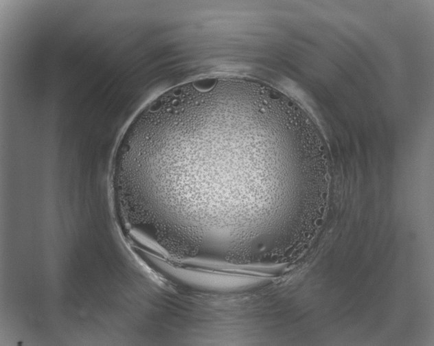 X0000073421235200608041016