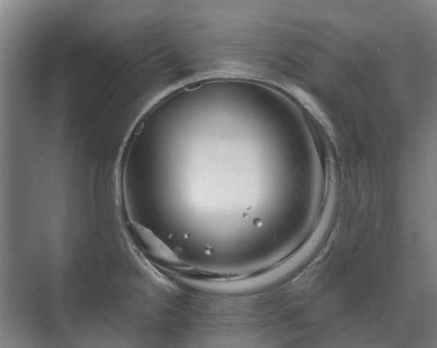 X0000073421238200608041016