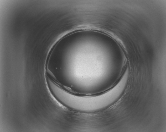 X0000073421239200608041016