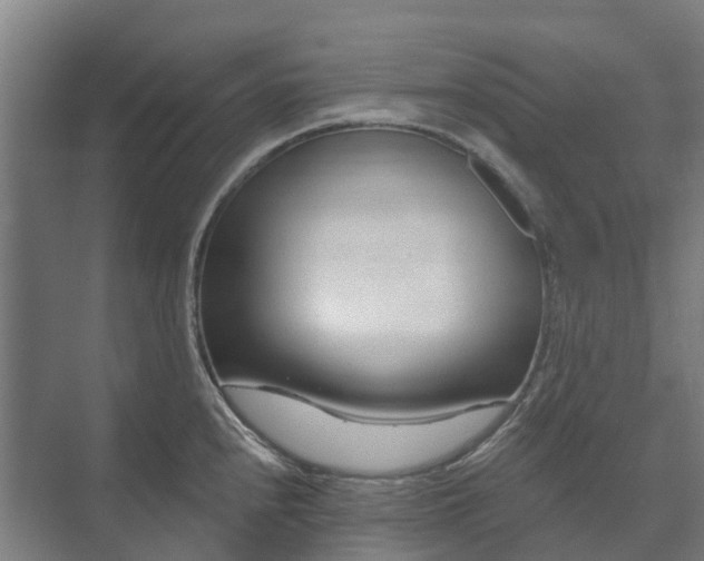 X0000073421240200608041016