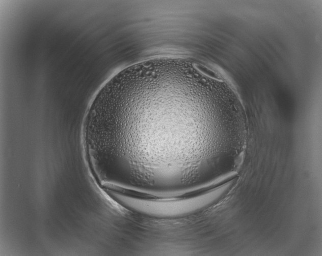 X0000073421243200608041016