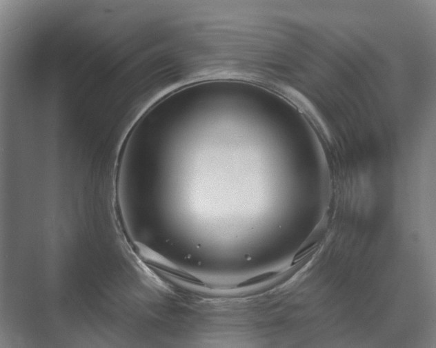 X0000073421244200608041016