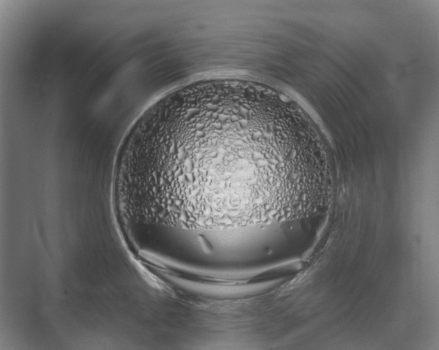 X0000073421245200608041016