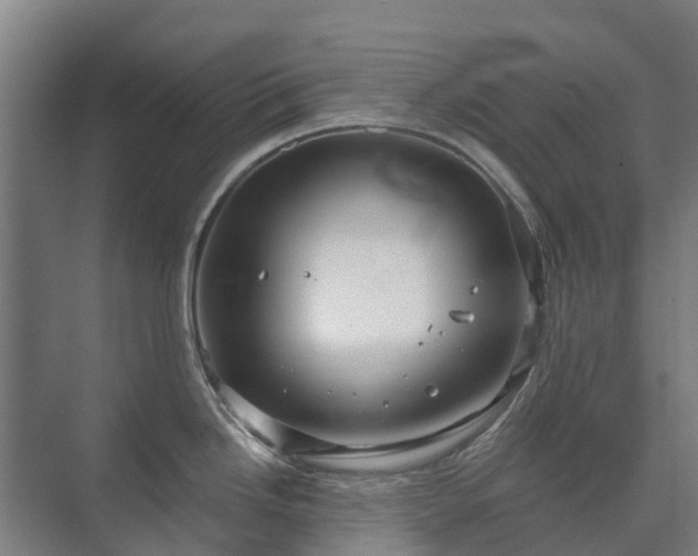 X0000073421246200608041016