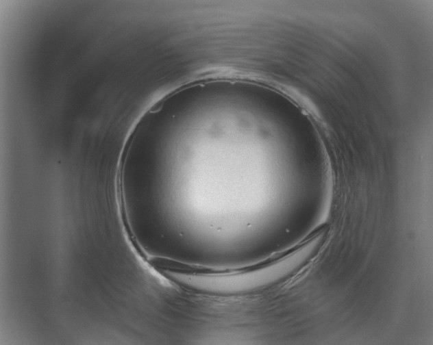 X0000073421247200608041016