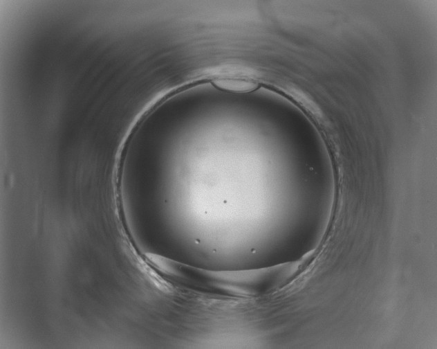 X0000073421248200608041016