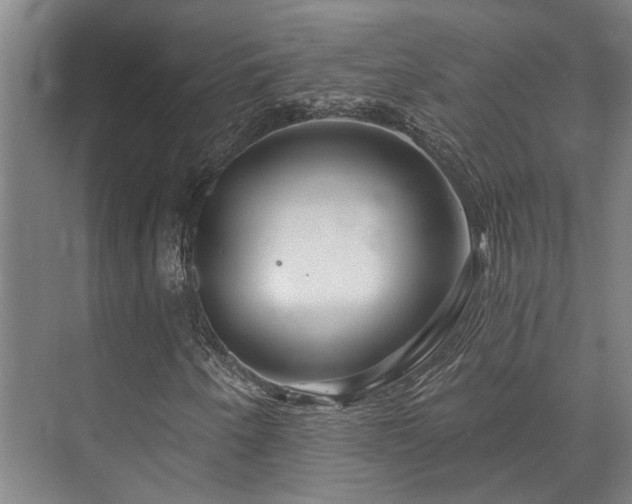 X0000073421250200608041015