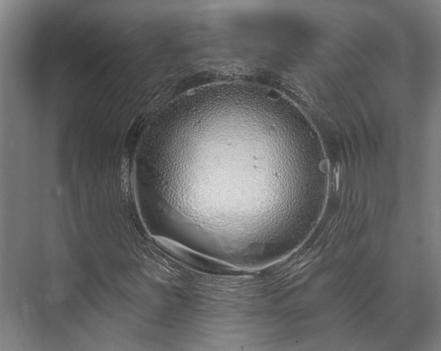 X0000073421251200608041015