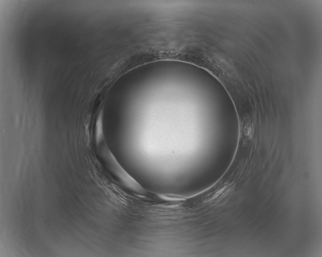 X0000073421252200608041015