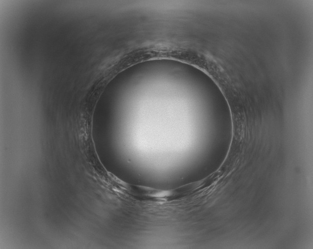 X0000073421253200608041015