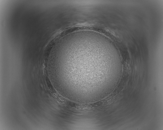 X0000073421254200608041015