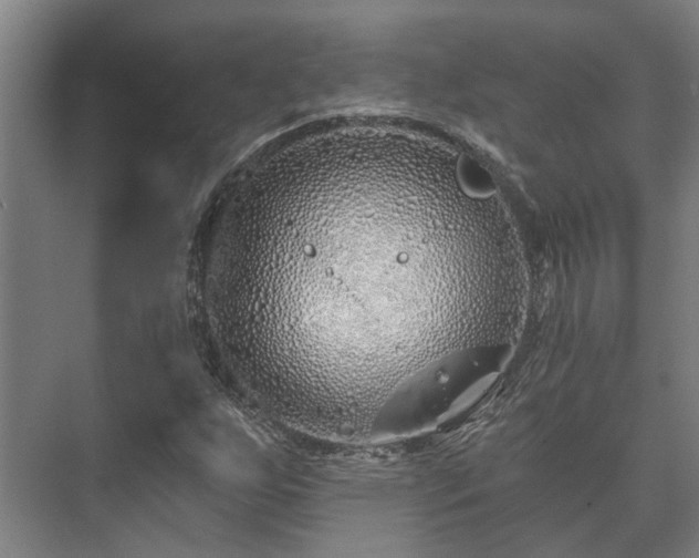 X0000073421255200608041015