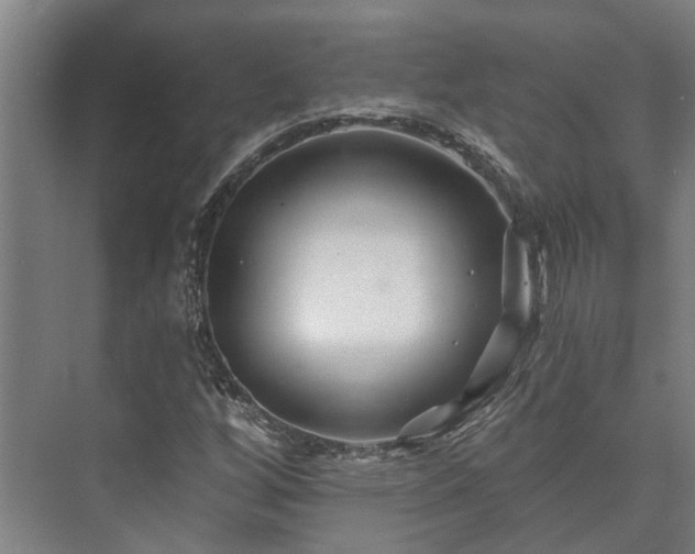 X0000073421256200608041015