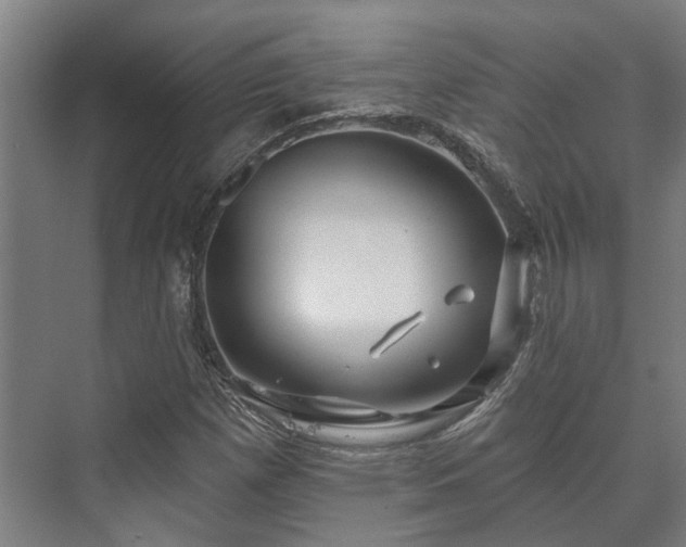 X0000073421257200608041015