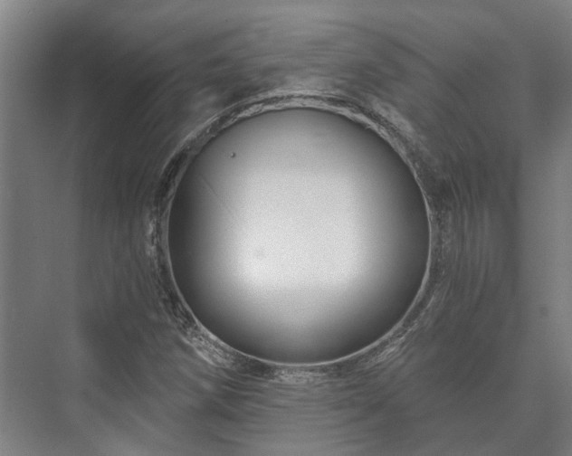 X0000073421258200608041015