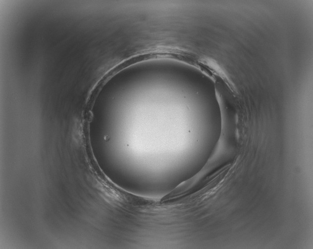 X0000073421260200608041015