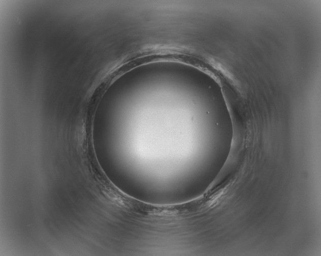 X0000073421261200608041015