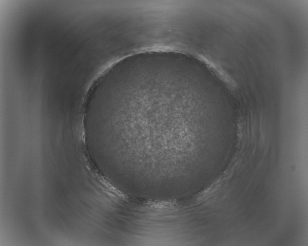 X0000073421262200608041015