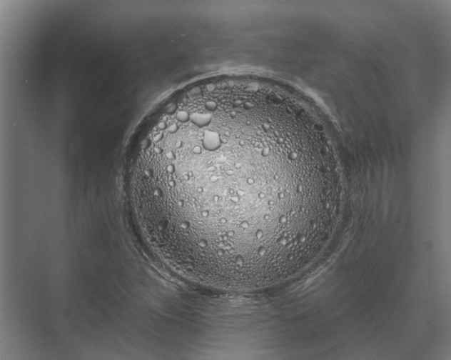 X0000073421263200608041015