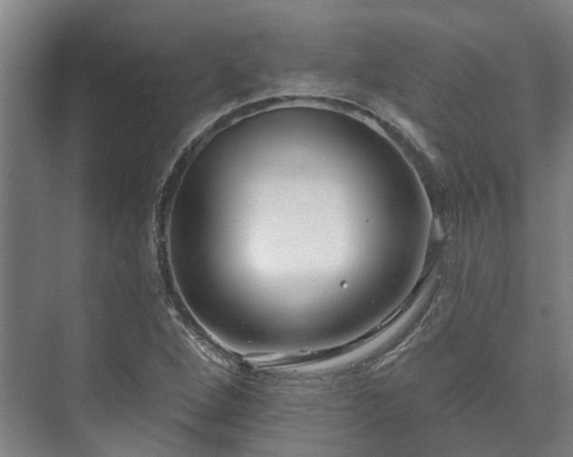 X0000073421264200608041015