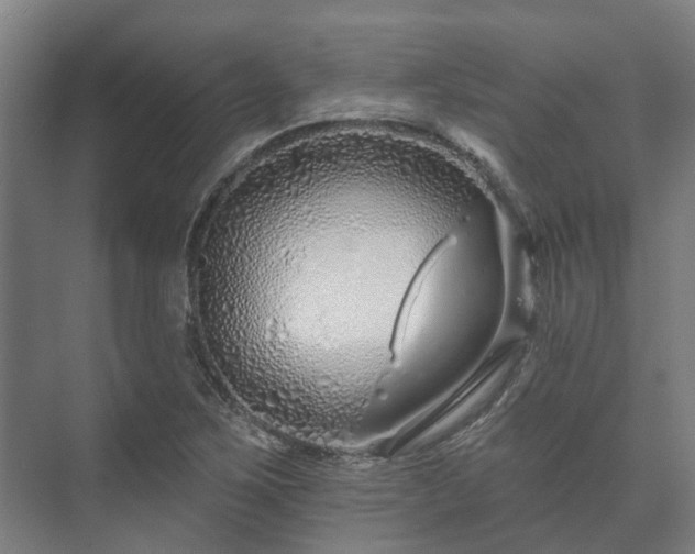 X0000073421267200608041015