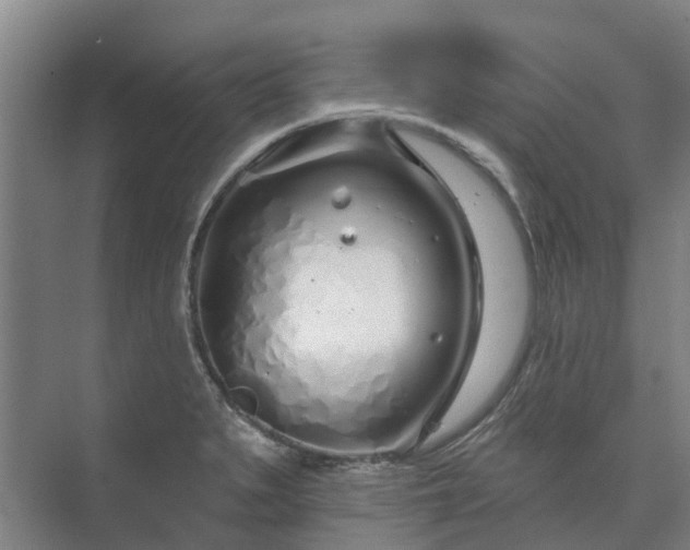 X0000073421279200608041015