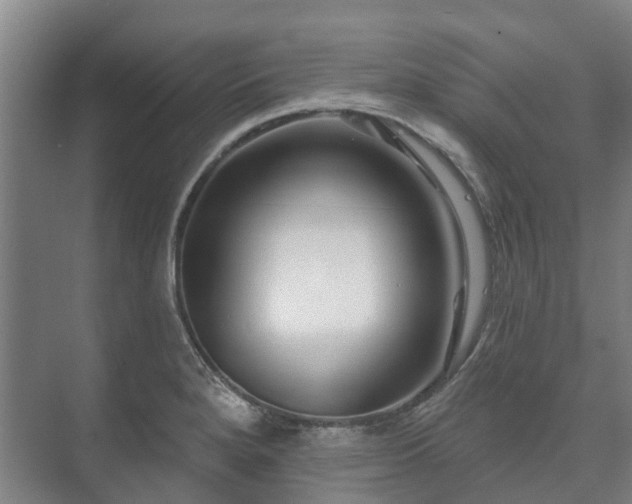 X0000073421280200608041015