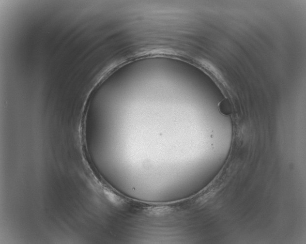 X0000073421282200608041015