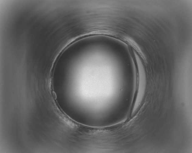 X0000073421284200608041015