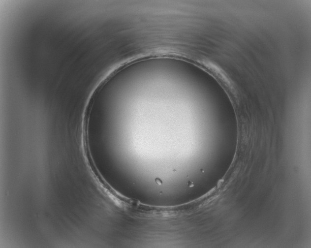 X0000073421286200608041015