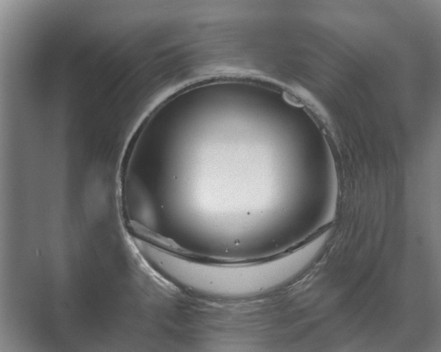 X0000073421287200608041015