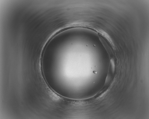 X0000073421288200608041015