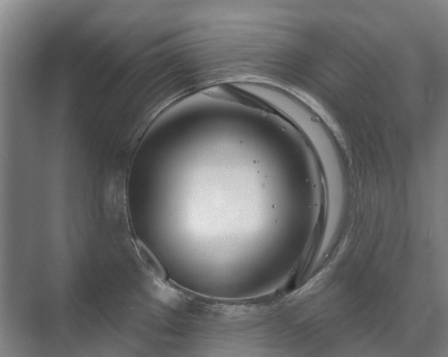 X0000073421289200608041014