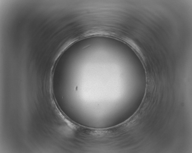 X0000073421290200608041014