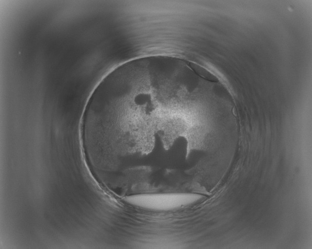 X0000073421291200608041014