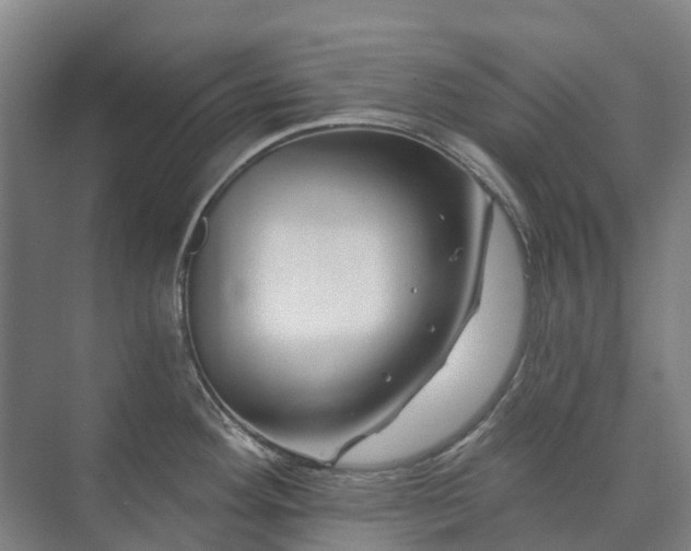 X0000073421292200608041014