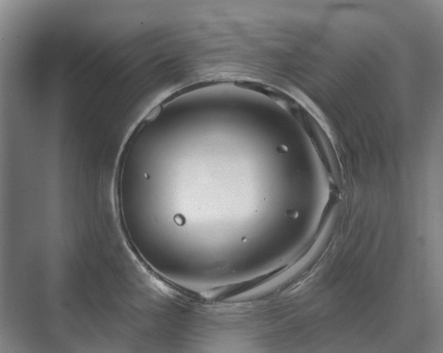 X0000073421293200608041014