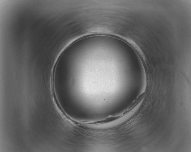 X0000073421295200608041014