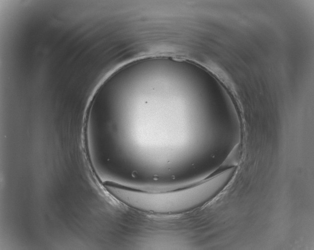 X0000073421296200608041014