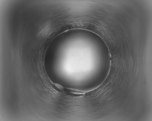 X0000073421297200608041014