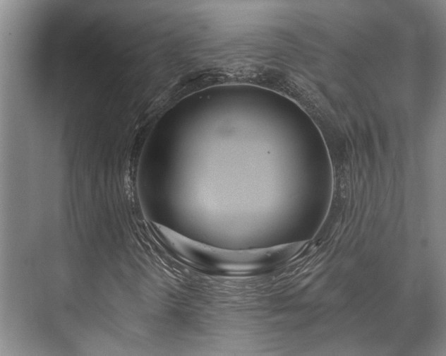 X0000073421298200608041014