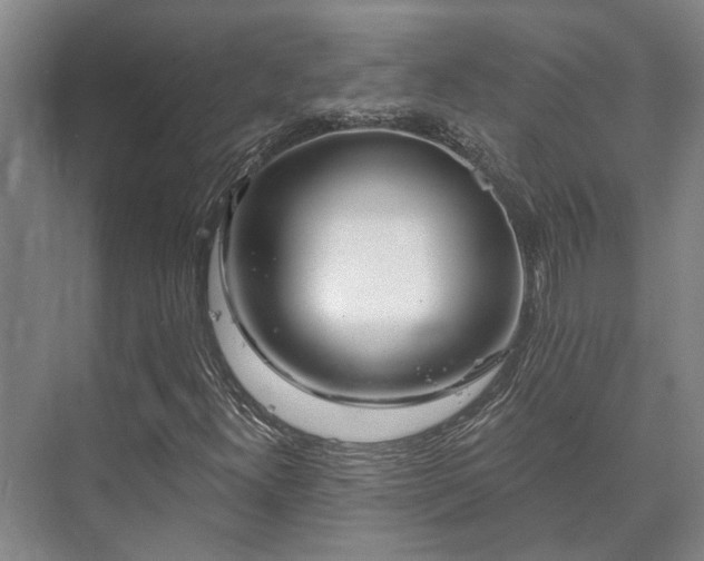 X0000073421300200608041014