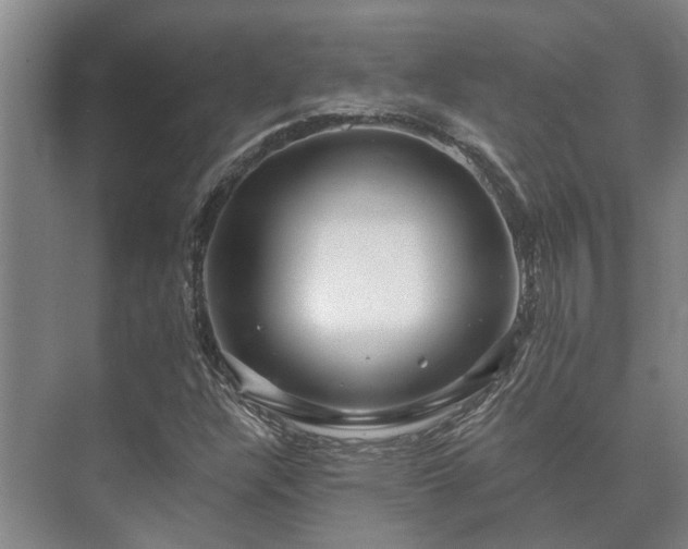 X0000073421304200608041014