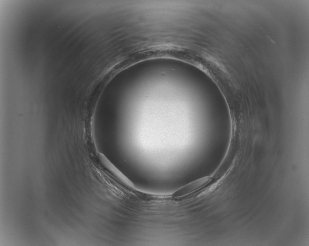 X0000073421305200608041014