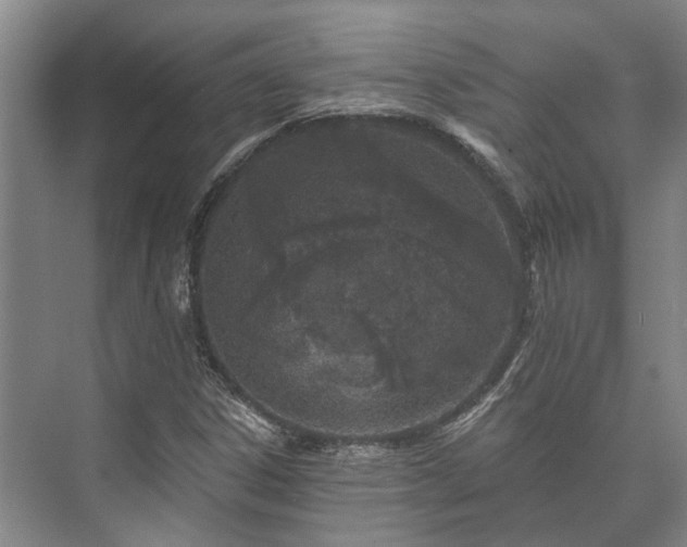 X0000073421306200608041014