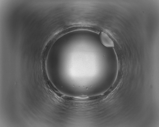 X0000073421307200608041014