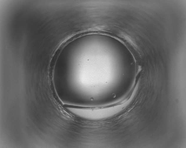 X0000073421308200608041014