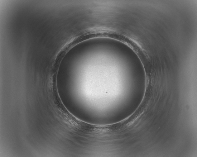 X0000073421309200608041014