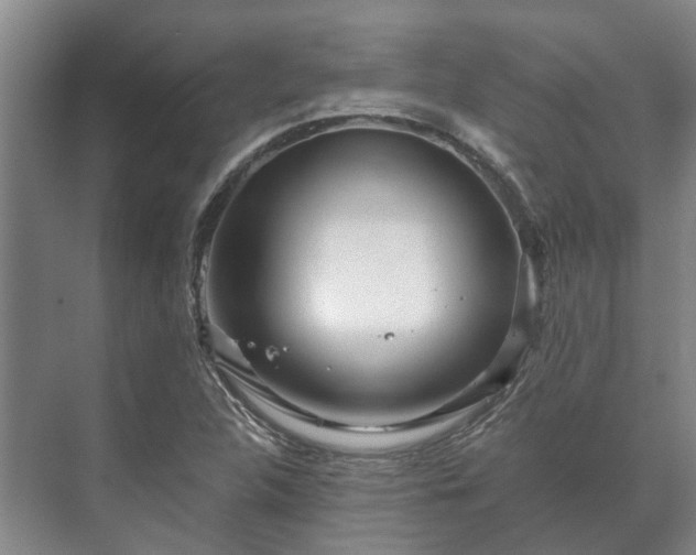 X0000073421312200608041014