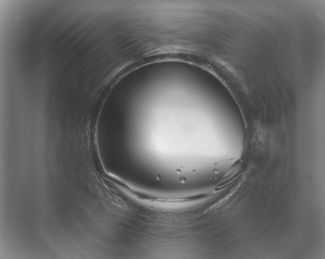 X0000073421313200608041014